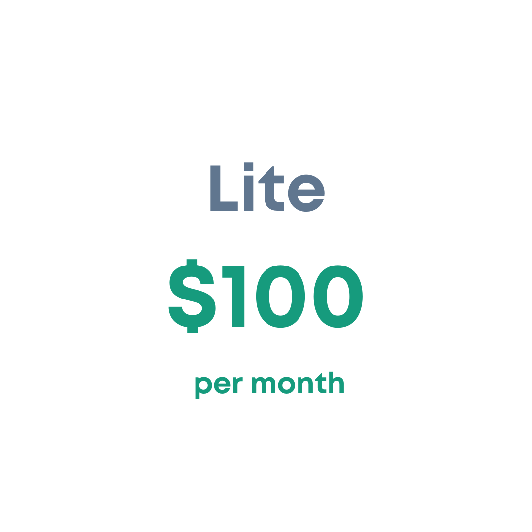 Lite $100 per month
